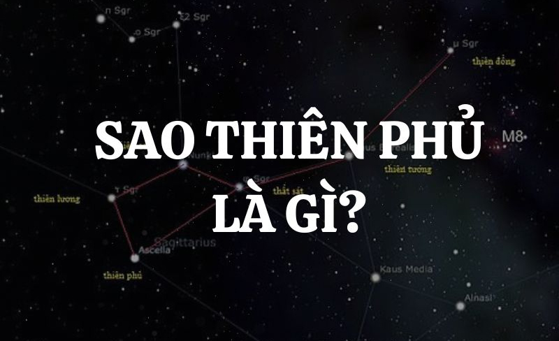 Luận giải chi tiết ý nghĩa Sao Thiên Phủ trong Tử vi