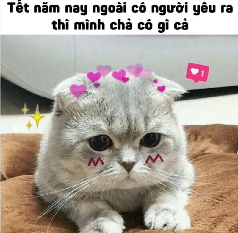 30+ Mẫu Meme Tết 2024 Cực Vui Nhộn, Độc Đáo & Không Đụng Hàng