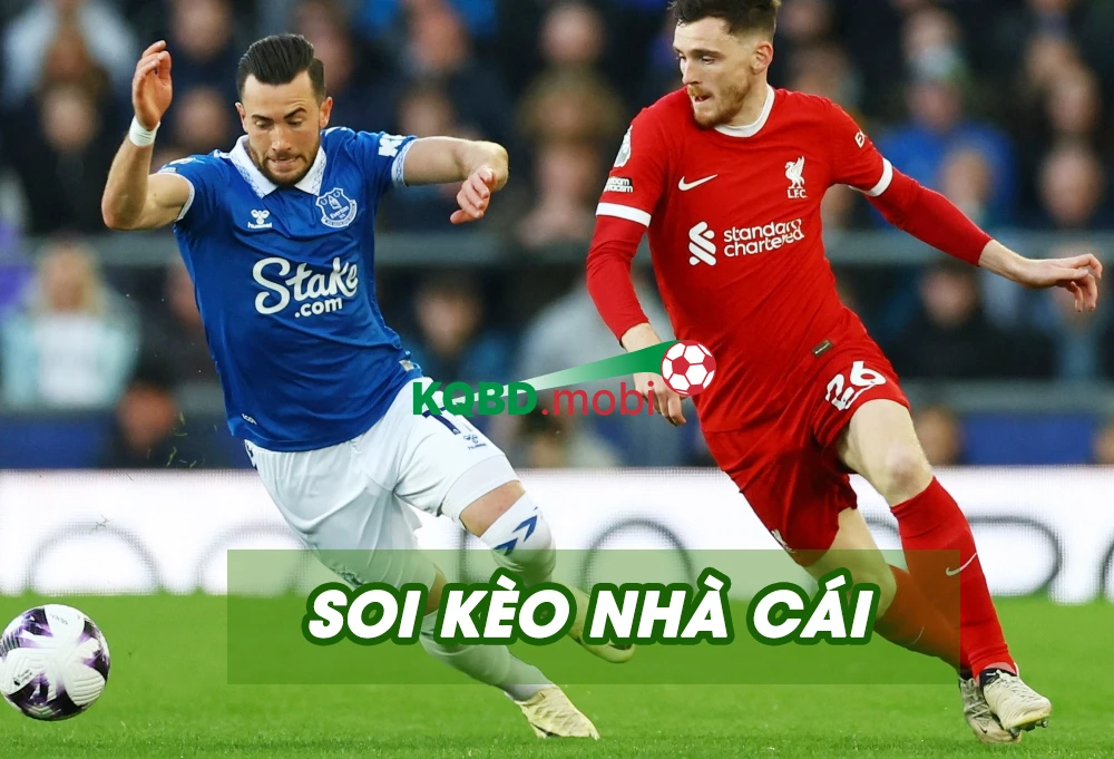 Nhận định bóng đá hôm nay - Soi kèo, Dự đoán kết quả đêm nay