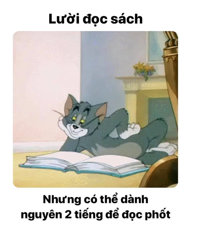 Tổng hợp bộ Tom and Jerry meme cực hài hước dễ thương